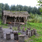 Prehistorie Horsterwold
